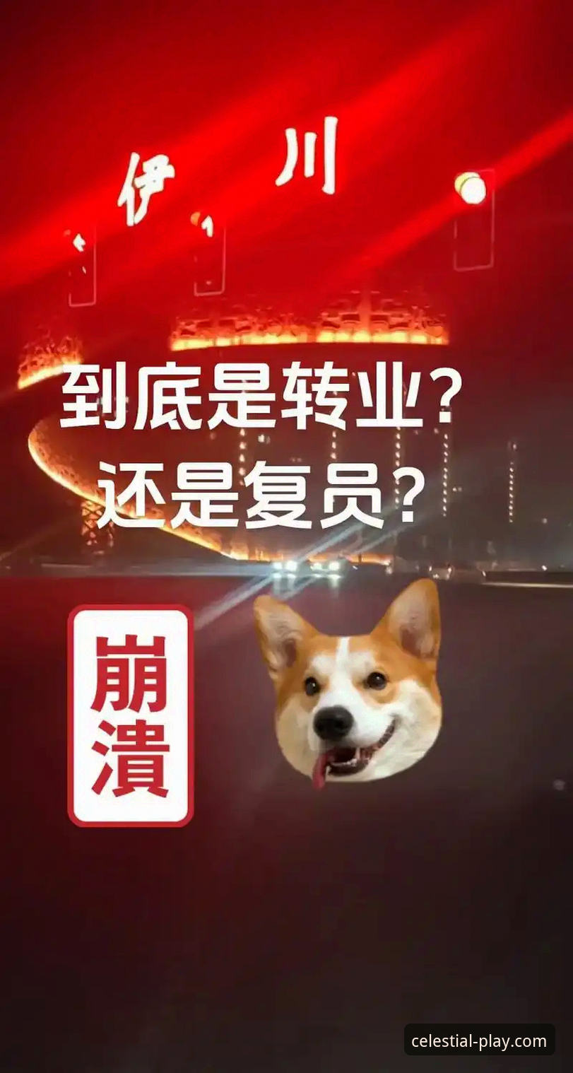 星空体育官网最新版下载安装到底值不值得？老张用实测告诉你答案