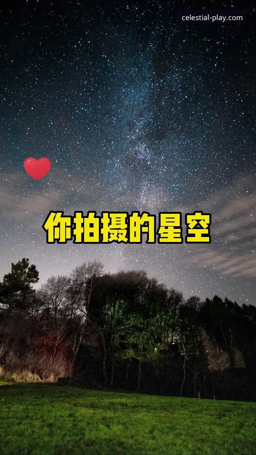 星空体育App好用吗？一份新手友好型全面解析与使用指南