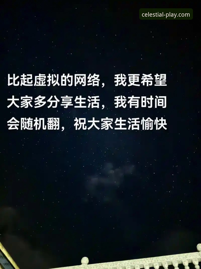 星空体育App新手版 vs 专家版：你的极致竞技体验从哪一步开始？