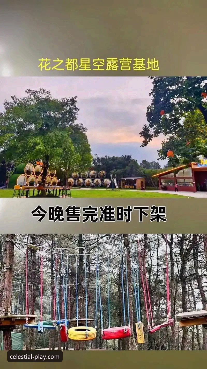 星空体育直播平台深度体验与实用指南
